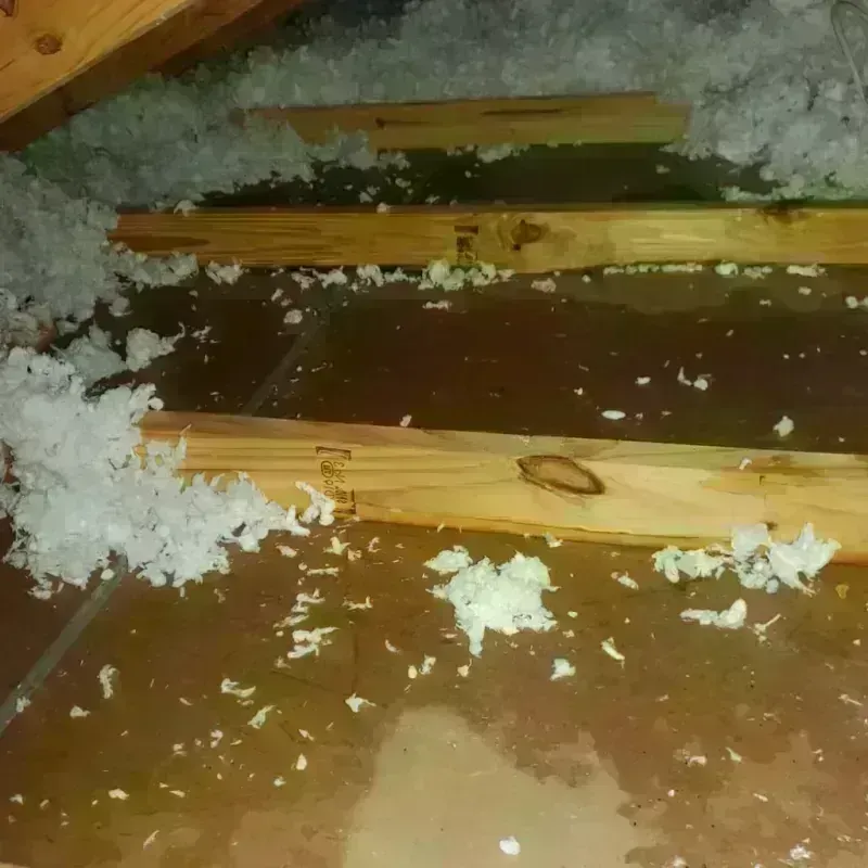 Attic Water Damage in Brier, WA