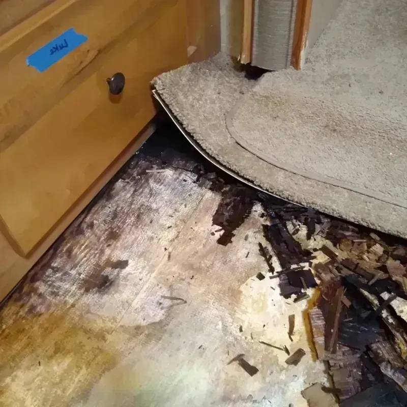 Best Wood Floor Water Damage Service in Brier, WA